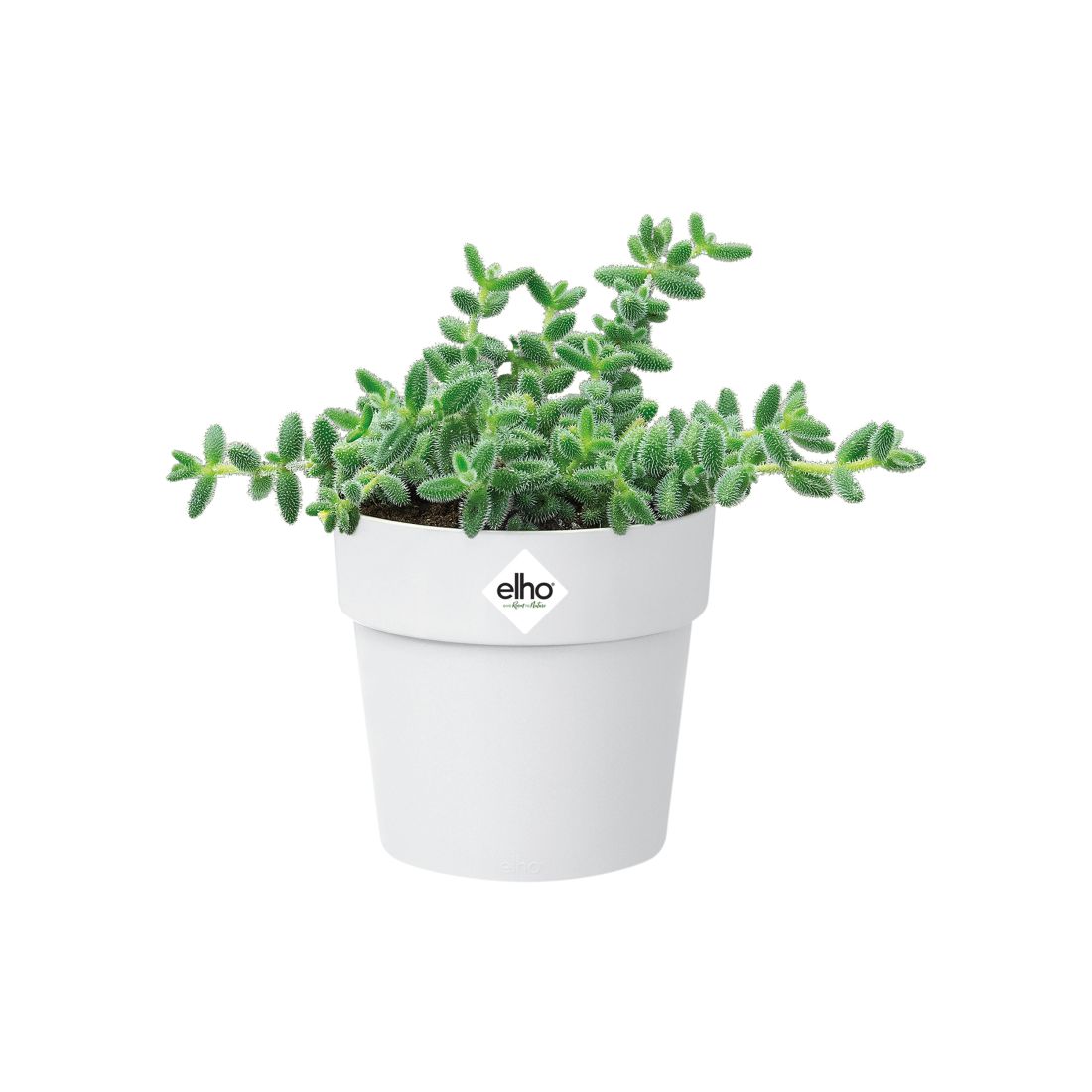 Plant pot Elho White 25 x 24,5 x 18 cm